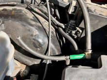 MY LOOSE HOSE