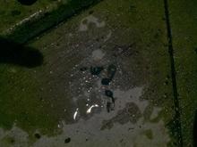 oil pic3