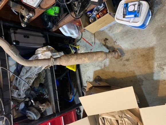 Old bottle coming lff