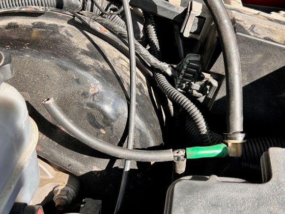 MY LOOSE HOSE