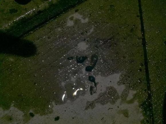 oil pic3