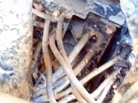 Firewall pass through wiring harness close up
