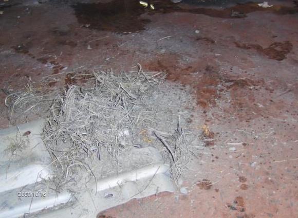 funny, i never had that happen to any of my 1st gen's, and i went a-hell-of-a-lot-farther into s**t than i did here.