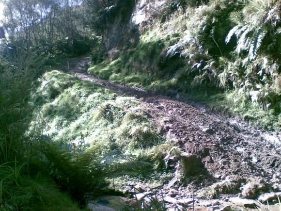 This was on thee way out across a stream then through a swamp up around the corner