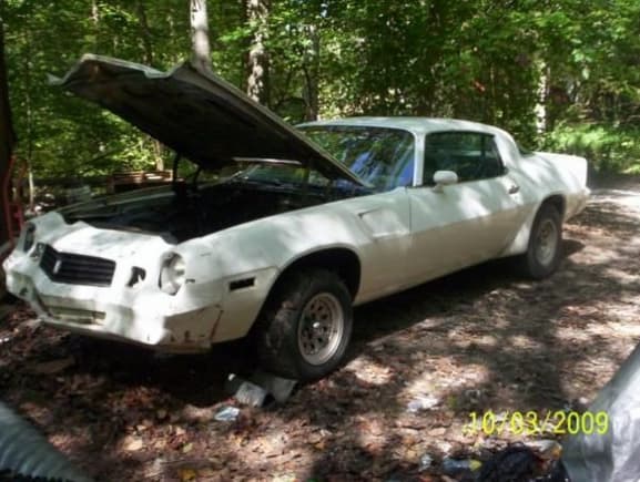 My current project... 1981 Berlinetta