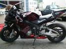 2004 cbr600rr