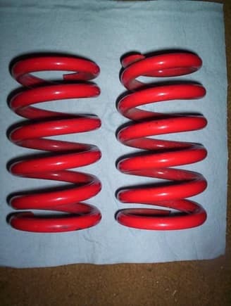 Shock Springs
96 on left 98 on right
CBR600F3