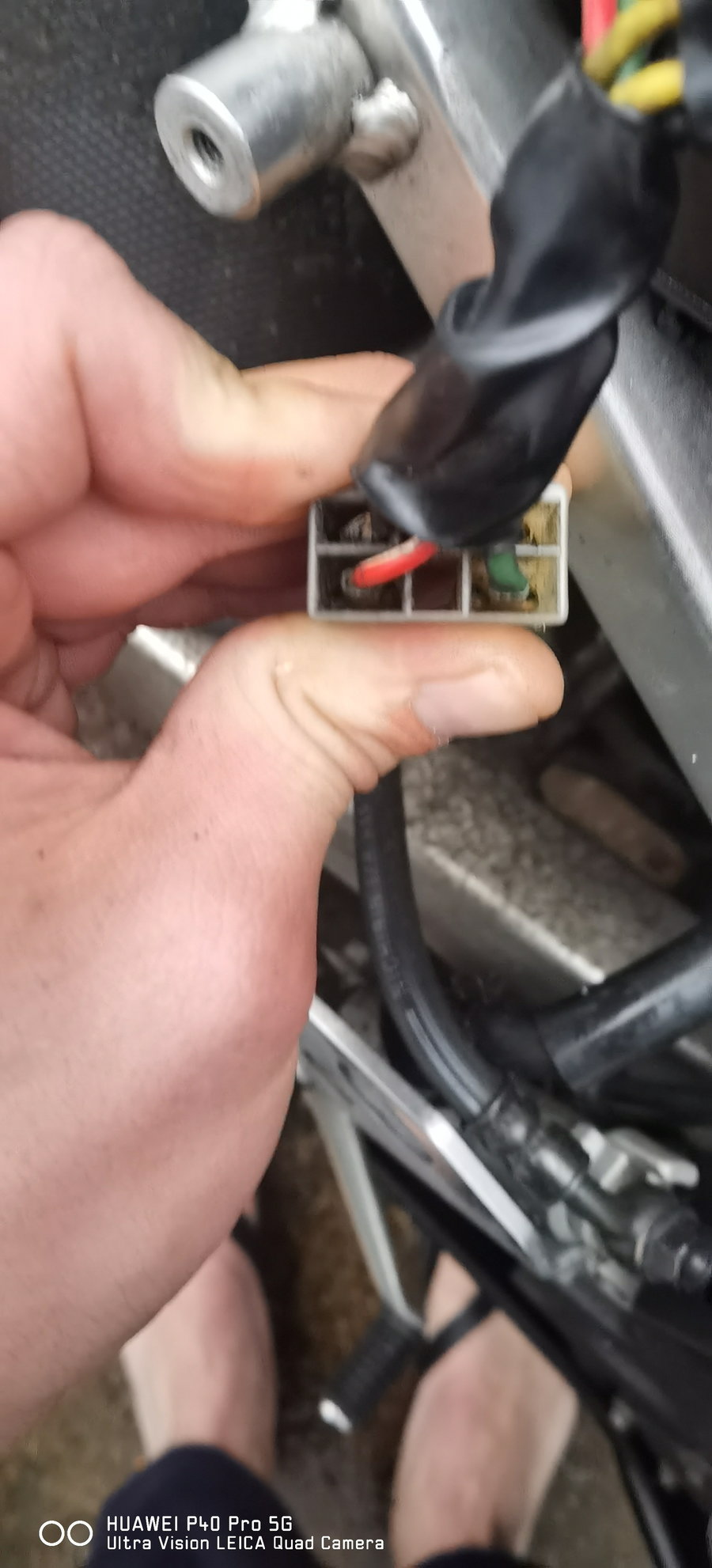 Need help with Regulator Wiring. - CBR Forum - Enthusiast forums for