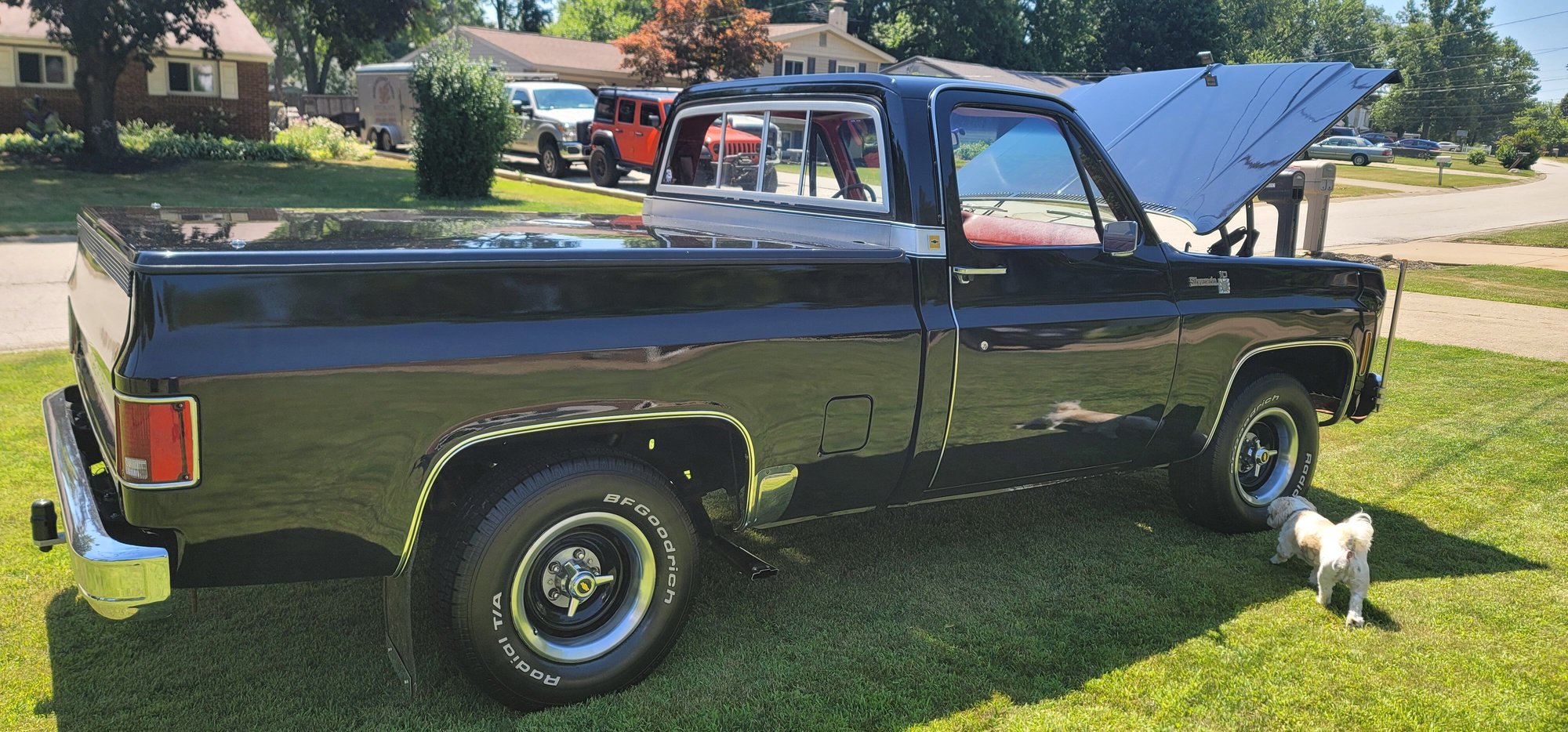 1979 Chevrolet C10 - Chevy C10 - Used - VIN 1g1fh1r78j0179097 - 66,000 Miles - 8 cyl - 2WD - Automatic - Truck - Black - Mogadore, OH 44260, United States