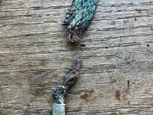 Was so crumbly it broke into as I removed it