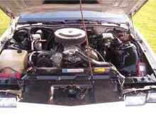 ALL MOTOR BABY
