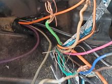 These are the wires in my radio harness.