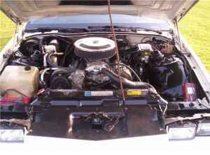 ALL MOTOR BABY