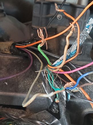 These are the wires in my radio harness.