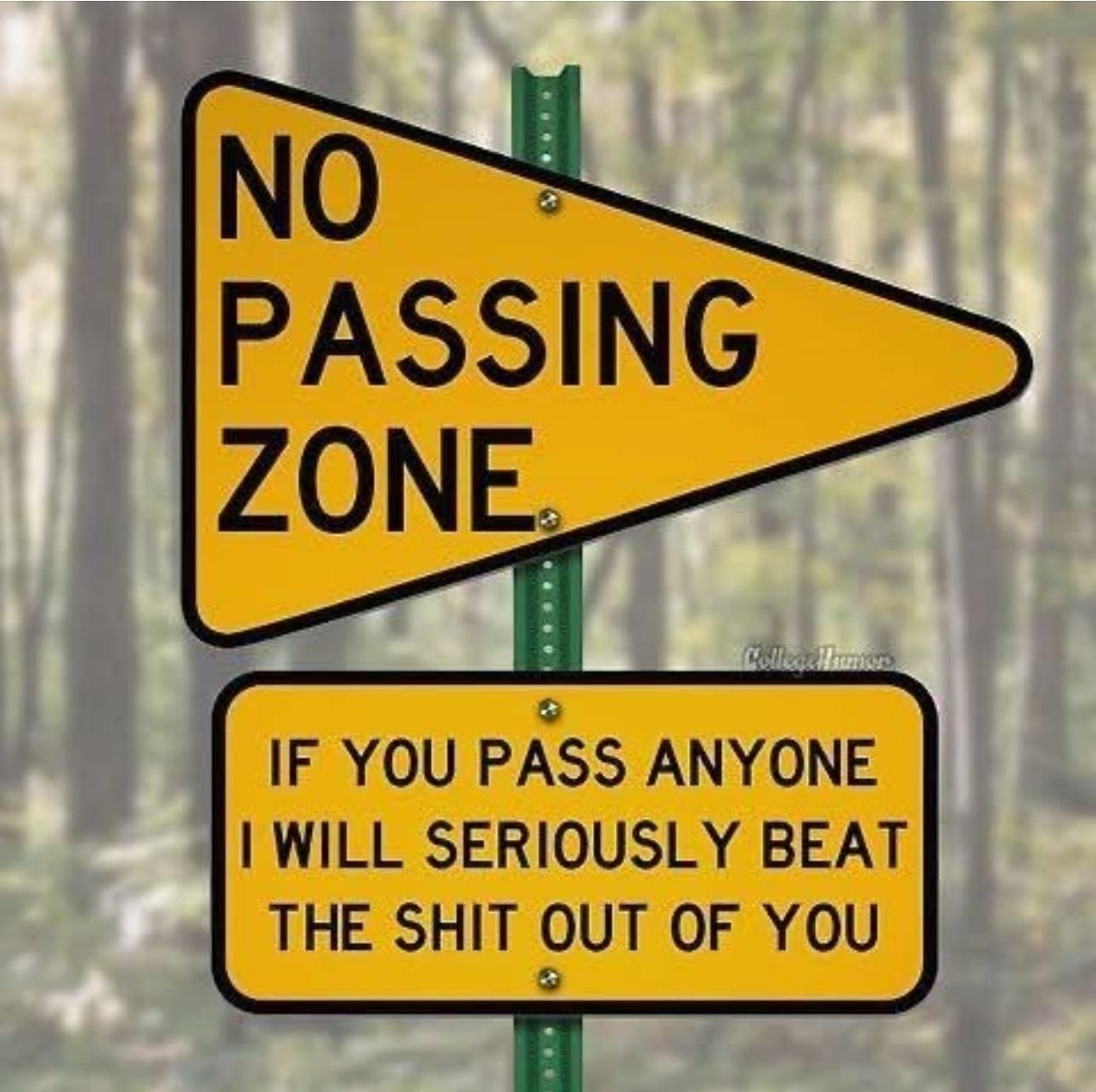 I dare you 