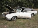 '67 Cutlass 442 Convertible