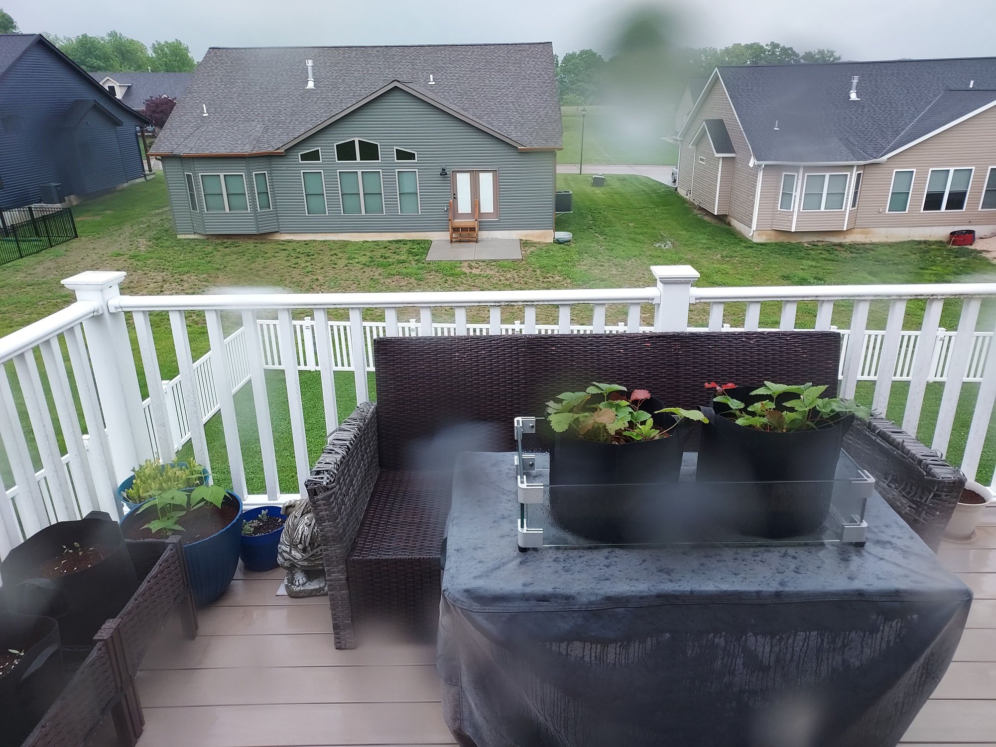 The weatherman was right, rain yesterday afternoon, thru the night, and this morning.  So far, May has been just as wet as April!  It's supposed to clear out by noon with some sunshine and 76�.  We're going out for a nice steak dinner around 5pm.  Nothing fancy, we both like Texas Roadhouse and it's only about 10-miles away.