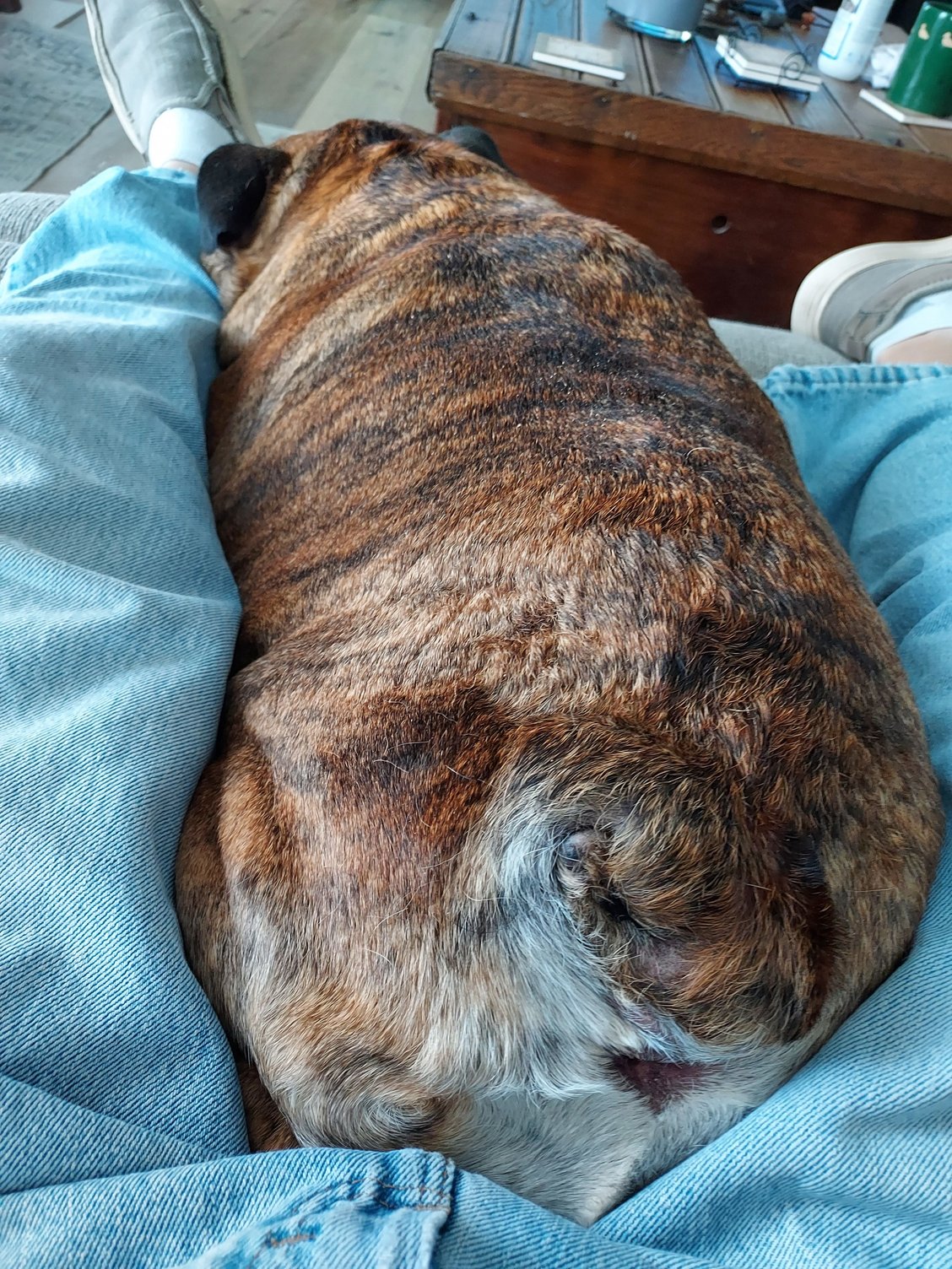It can get down to -20 and I'll still be comfortable with my trusty lap warmer to keep me warm!!!