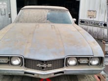 I asked the seller if he purposely put dust on the car to make it more of a barn/shed find.