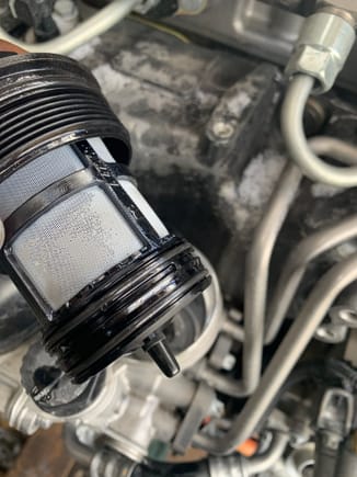 Fuel filter.  When replaced please add lube to o-ring before installing 

Tech : installed lube inside fuel filter screen 
