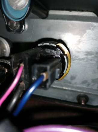Backside of the 2 speed switch

Blue
Black
Purple/black

( can't find purple/black wire in the wiring diagram) 