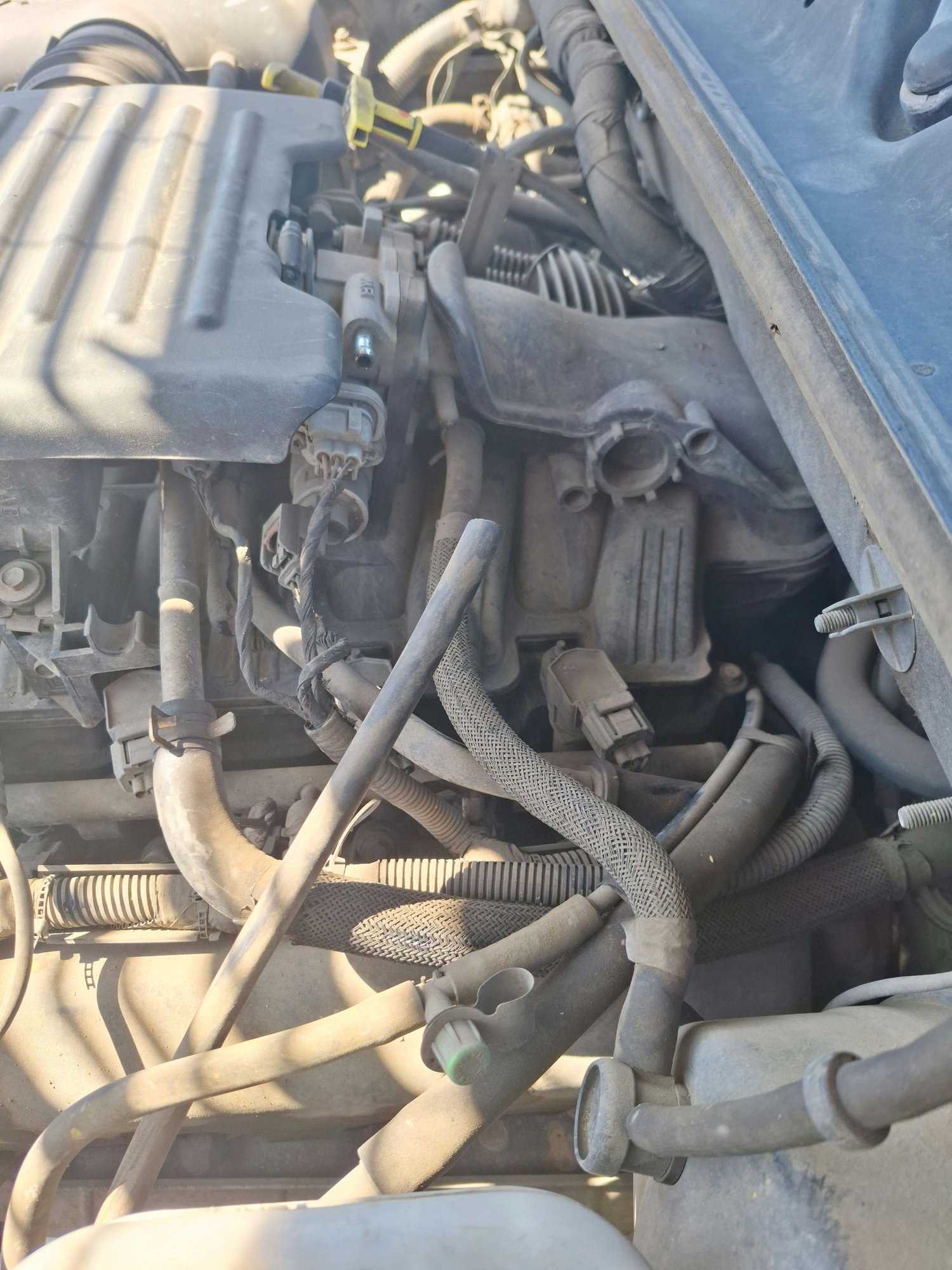 PV Manifold Hose