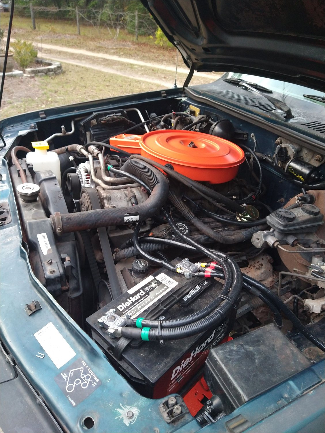 After painting I take battery tray and new alternator, aaaaand 6 cans of degreaser.