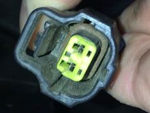 This is the wire harness thats unplugged from something. It looks pretty clean inside to have been unplugged since 1999.