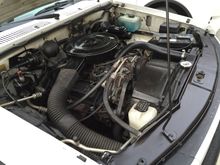 Engine bay about as clean as i could get it