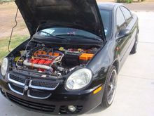 2004 neon
