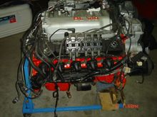v10