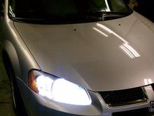 Freshly Buffed..