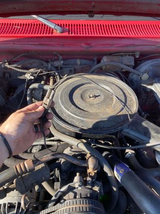 Cut wires were laying next to the thermostat. I traced them to this plug. 