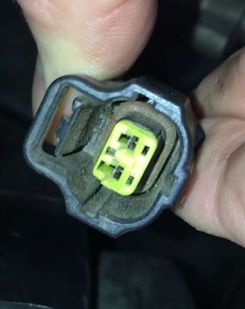 This is the wire harness thats unplugged from something. It looks pretty clean inside to have been unplugged since 1999.