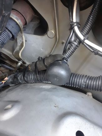 And here it is attached to the hose that goes to the vapor canister.  It sits up higher now, and away from the steering column.