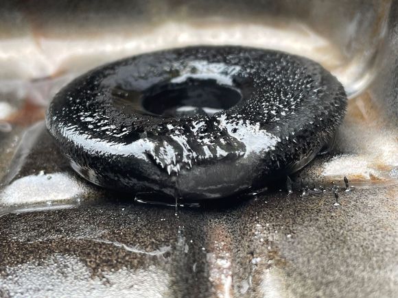 Hostess Donette of shavings