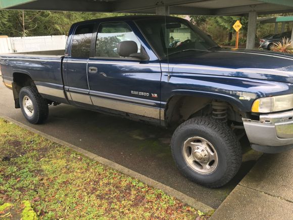 blue beast