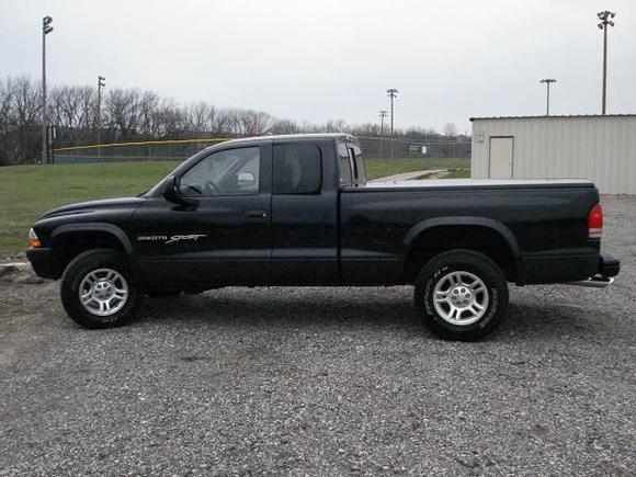 Before the tint.