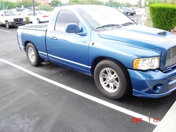 bluegoose (2)