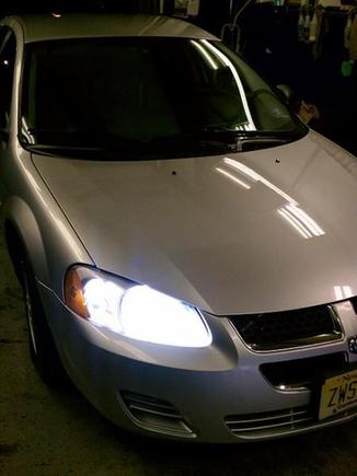 Freshly Buffed..