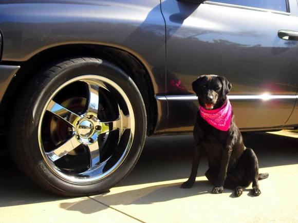 Dixie