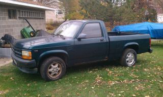 dodge