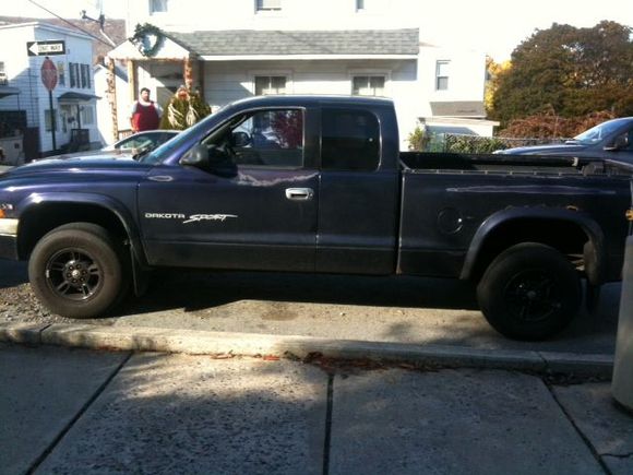 photo (11)