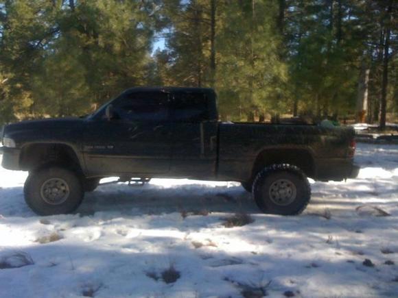 Loves the snow!!!!!!!!!!!!!!!