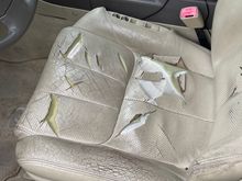 The was the Original interior in my 2005 Infiniti G35 Sedan. My car had 160k miles on it and this photo was taken in January of 2024. 

Original Front seat Bottom 