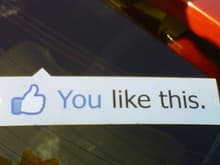 decal on my rear window/ i know u like this!/facebook