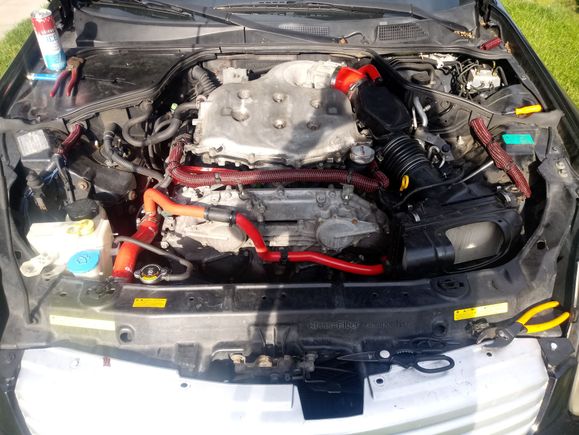 Freshly reinstalled. Right before the first drive.