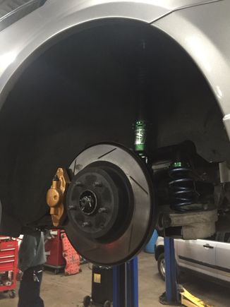 Fortunes rear