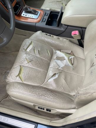 The was the Original interior in my 2005 Infiniti G35 Sedan. My car had 160k miles on it and this photo was taken in January of 2024. 

Original Front seat Bottom 