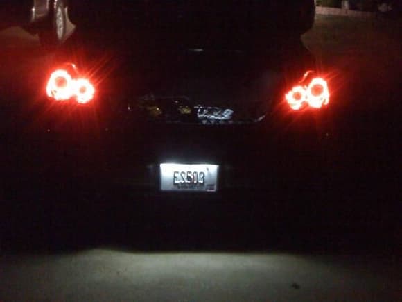 White License Plate LED